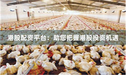 港股配资平台:助您把握港股投资机遇