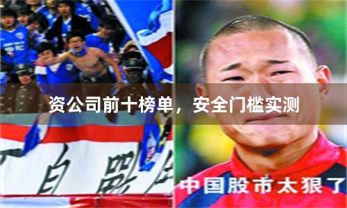 资公司前十榜单，安全门槛实测