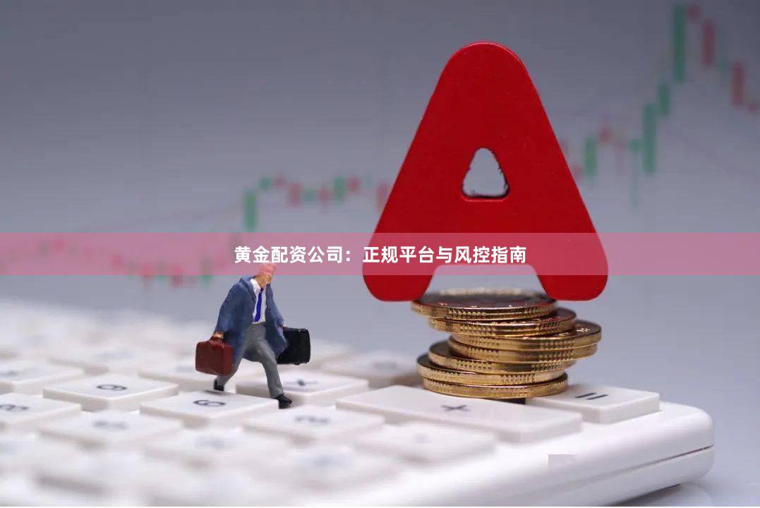 黄金配资公司：正规平台与风控指南